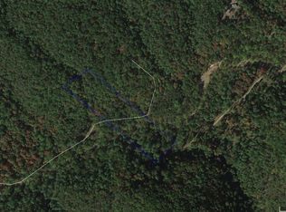 0 Patterson Creek Rd, Eagle Rock, VA 24085