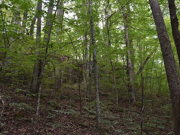 3rd image of Upper Line Creek Rd Lot Wp001