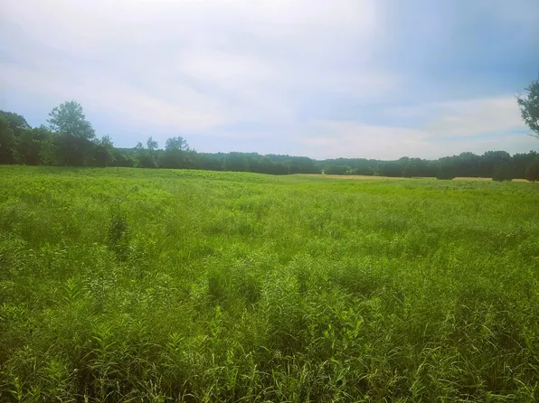 0 N Stanford Ln, Opdyke, IL 62872