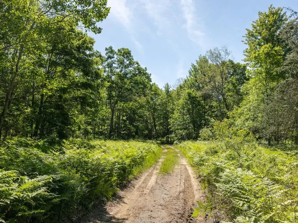 0 N Comstock Ave #Par, Bitely, MI 49309