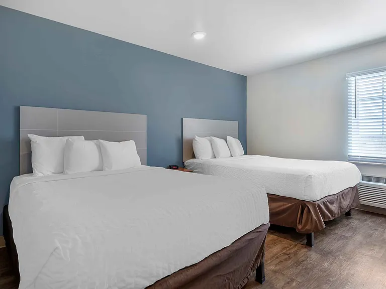 Studio Suite - 2 Full Beds