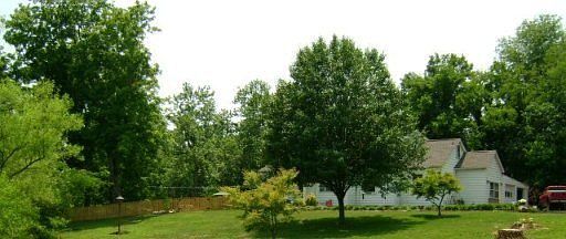 5th image of 104 Colonial Dr
