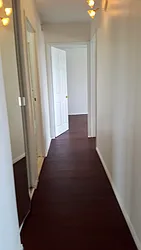 Sold by Merileads Inc.