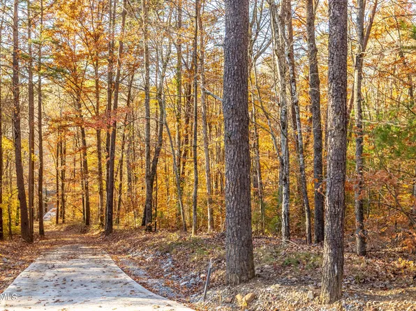 Charles Young Rd, Walland, TN 37886