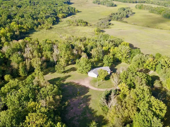 28673 325th Ave, Long Prairie, MN 56347