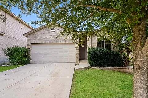 6115 Briscoe Leaf