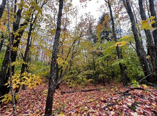 41395 W East West Rd, Paradise, MI 49768