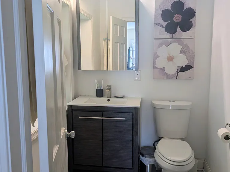 Master bedroom's en-suite bathroom