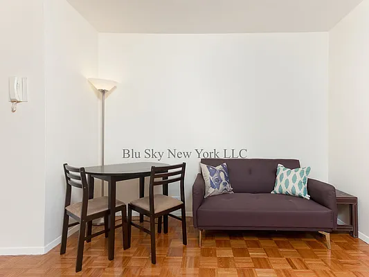 Rented by Blu Sky New York LLC | media 16