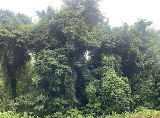 Camino Cambalache, Mayaguez, PR 00681