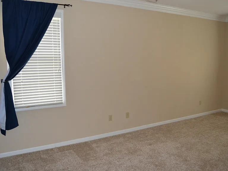4899 White Pass Dr — Photo 12