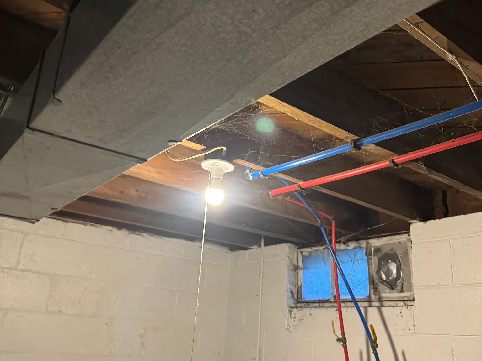 2 bed, 707 sqft, $950 — Photo 3