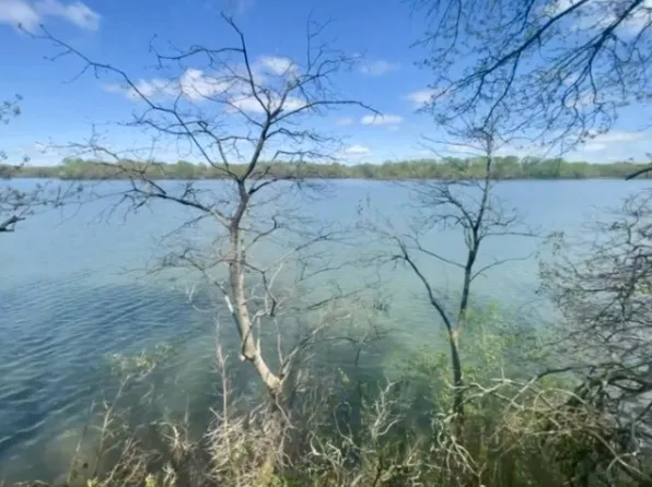 0 Woods Lake Rd Lot 17, Decherd, TN 37324