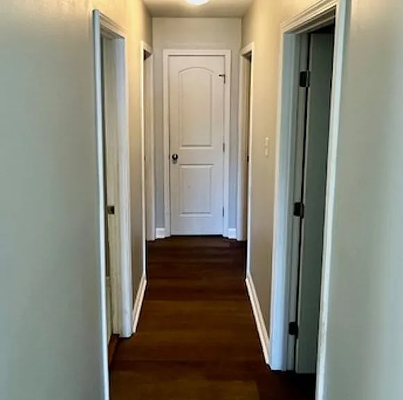 4507 Robinhood Dr — Photo 3
