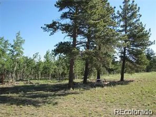 257 Bolster Drive LOT 1094, Hartsel, CO 80449