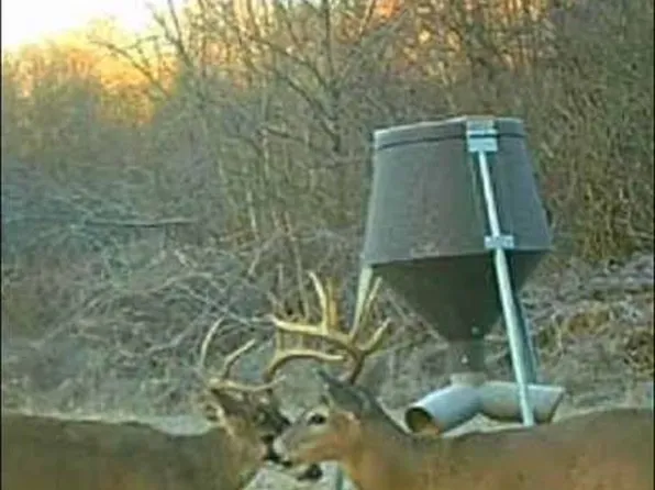 0 Vincent Cemetery Rd, Bee Spring, KY 42207