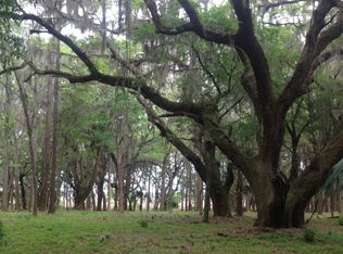 13125 Hwy 99, Darien, GA 31305