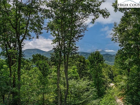 4th image of 228 Lodge Woods Trail