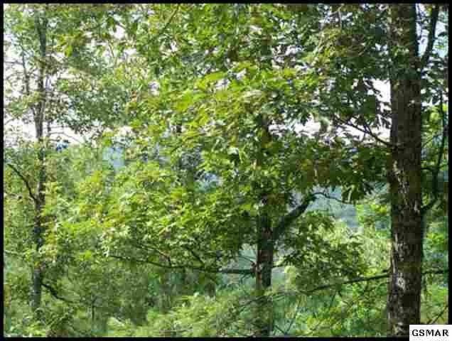 1st image of 0 Anatole Pass Lot 49