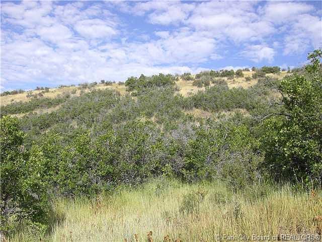 2nd image of 984 E Wide Hollow Rd #8