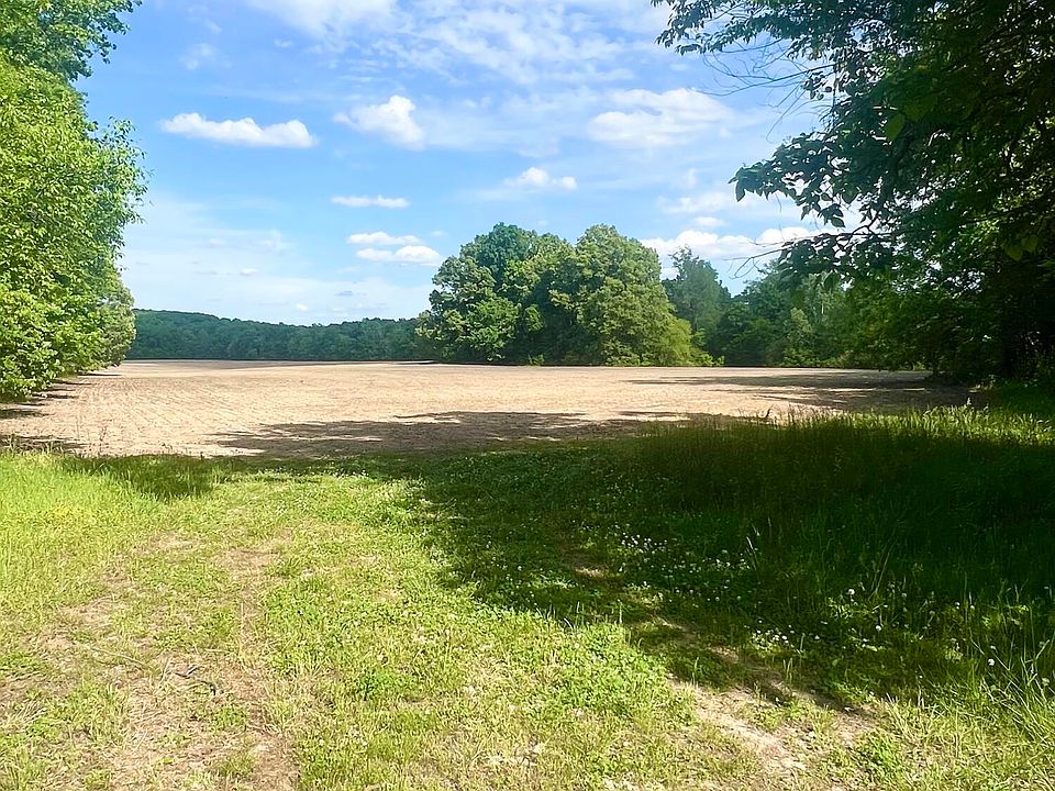 2nd image of 0 Independence Loop
