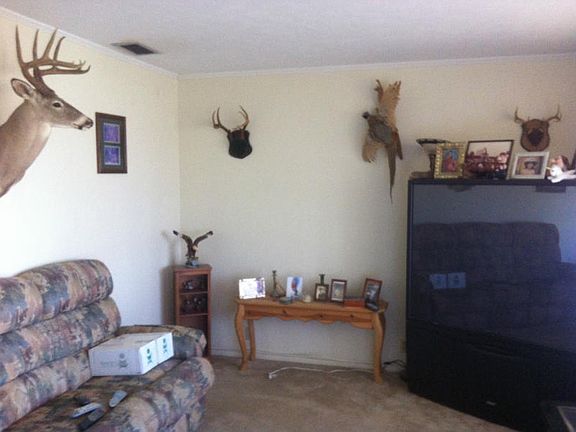 4th image of 4637 Mount Vernon Dr