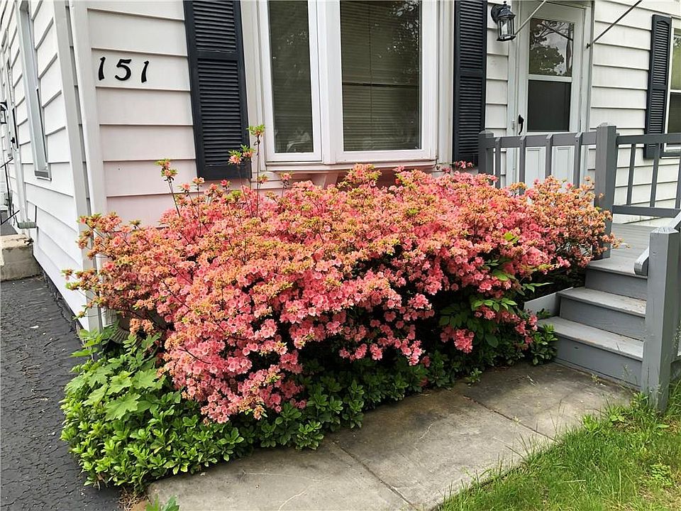 2nd image of 151 Leonard Rd