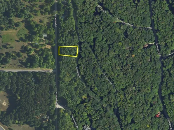 LOT 38 Courchevel Ln, Bellaire, MI 49615