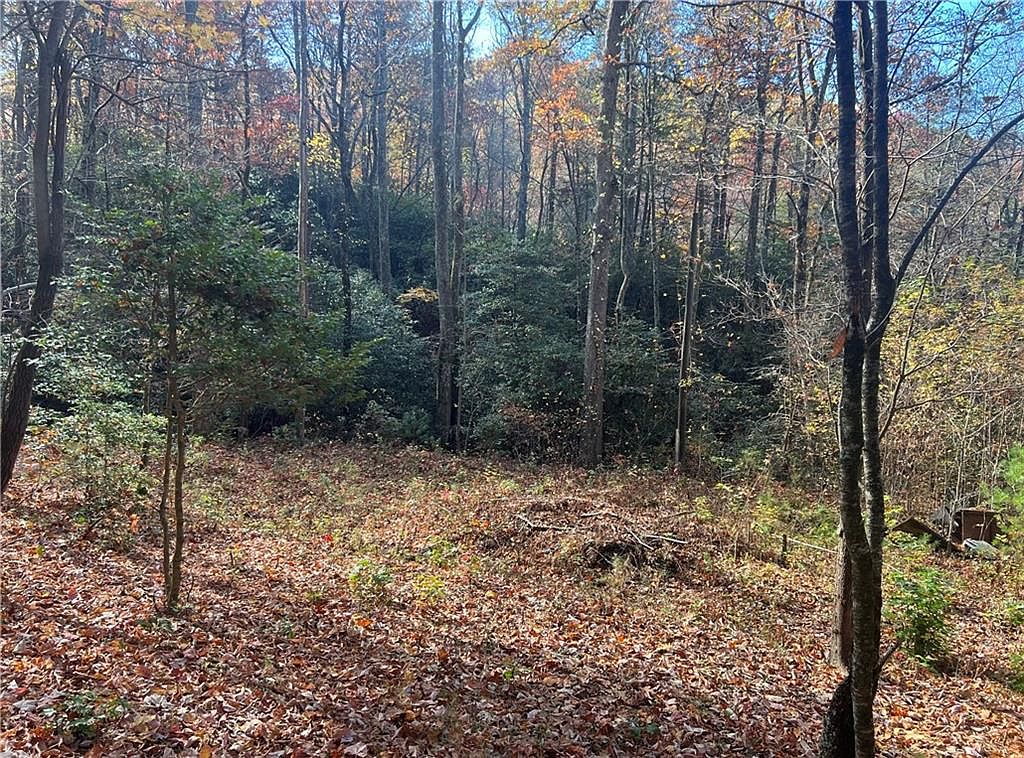 446 Bucktown Trl, Ellijay, GA 30536 MLS 7296698 Zillow