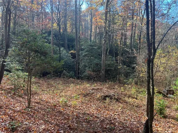 446 Bucktown Trl, Ellijay, GA 30536