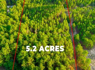 346 Kirkland Store Rd, Mauk, GA 31058