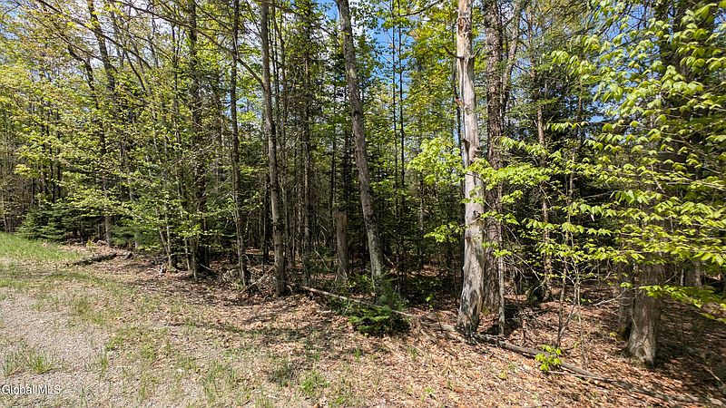 2nd image of 360 Igerna Road