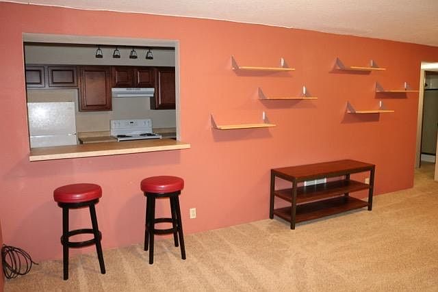 eating bar looking into the kitchen from the living room