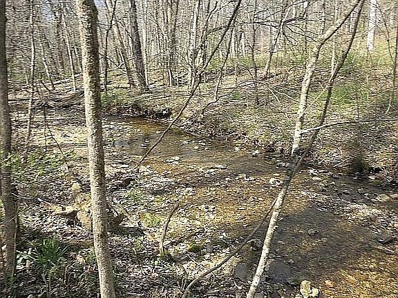3rd image of 11274 Allen Dr