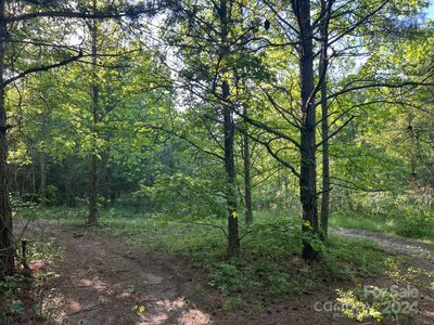 0 W Railroad St TRACT 3, Candor, NC, 27229