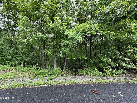 5th image of 228 Black Hawk Dr #88