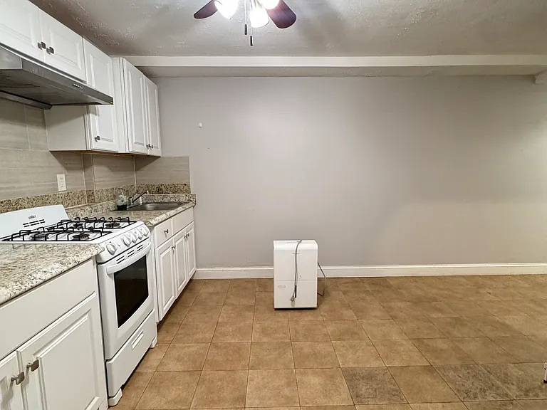 15 Newberry Ave #BASEMENT — Photo 4