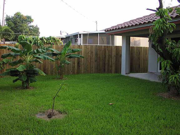 Back yard