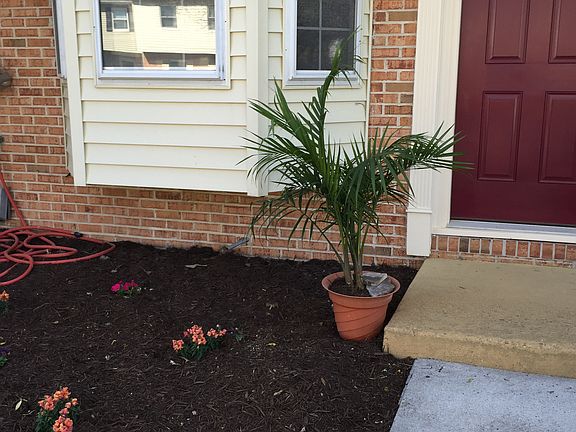 5th image of 739 Biltmore Dr