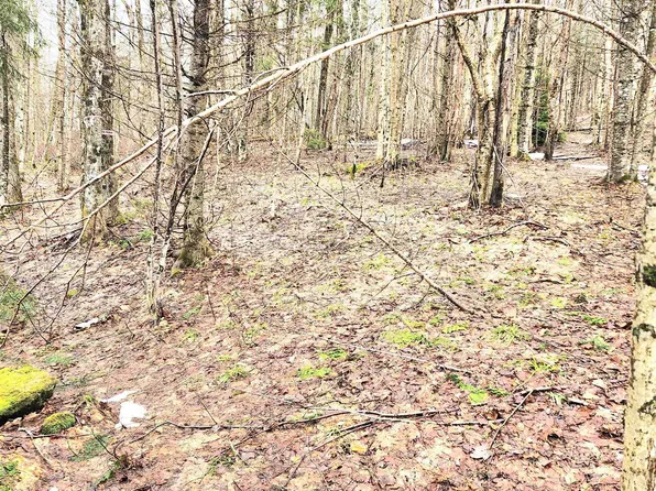 2 Diamond Pond Road #B, Stewartstown, NH 03576