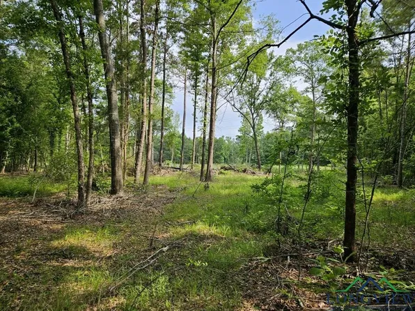 Keasler Rd, Hallsville, TX 75650