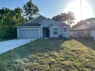 30135 Palm Ave, Sorrento, FL 32776