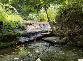 1755 Old 61 Loop Rd, Breeding, KY 42715