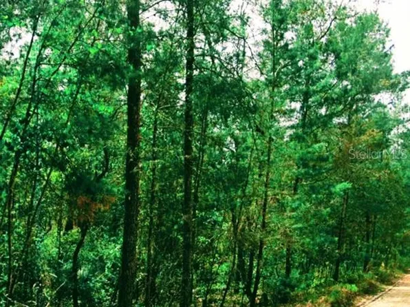 137 Lake Margaret Blvd #279, Pomona Park, FL 32181