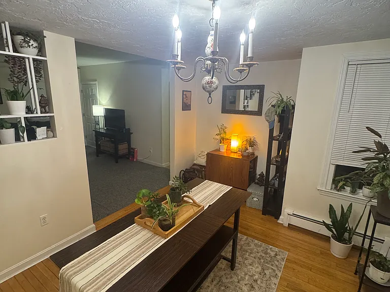 20 Gibbon St #1 — Photo 9