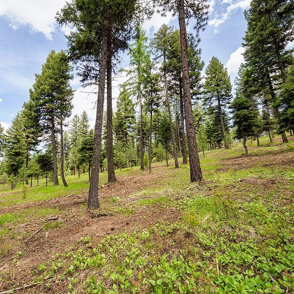 2nd image of 10 To Be Determined