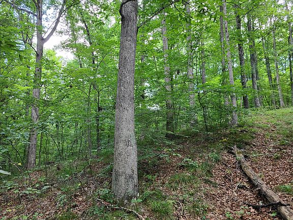 3rd image of 10000 N State Road 135 Lot Wp001