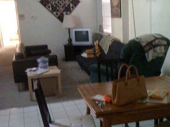 Living Area- The furnished rooms pictured are representative