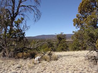 18 Last Frontier Trl, Datil, NM 87821