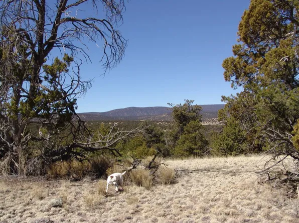 18 Last Frontier Trl, Datil, NM 87821